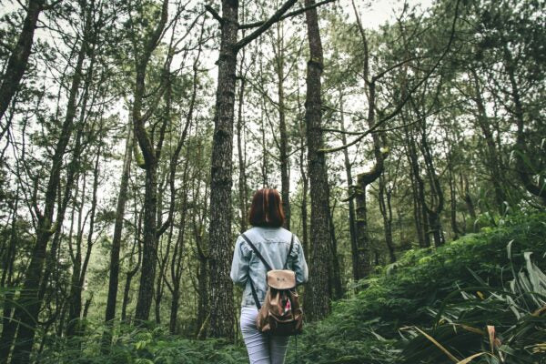 Greens: The Fountain of Youth – Unlocking Nature’s Secret to Vitality